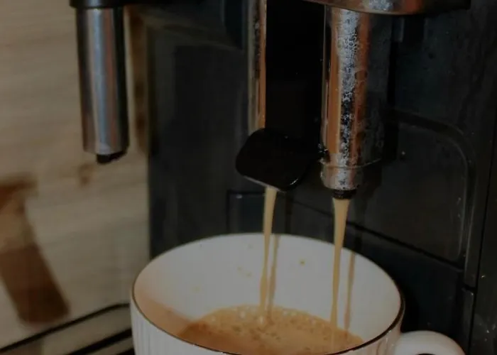 Mono Lamborghini Elk